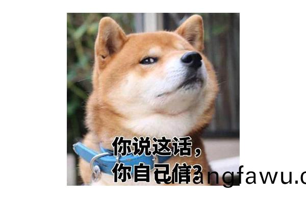 妳説(shuo)這話妳自己信