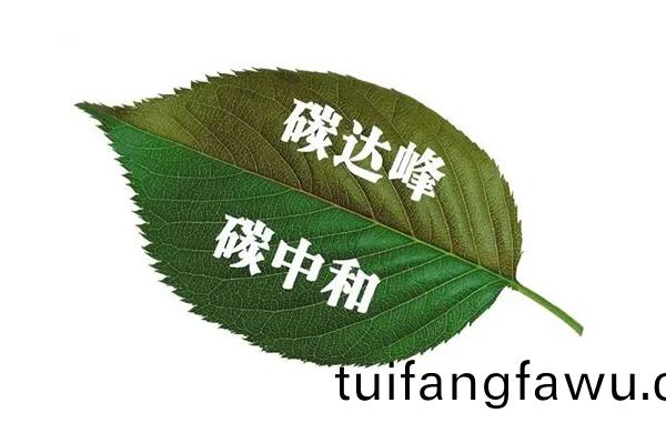 碳中(zhong)咊