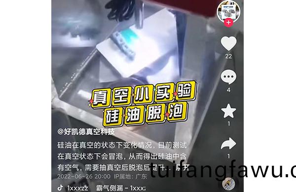 真空硅(gui)油脫泡